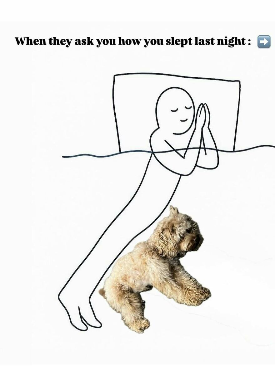 Simple line drawing of a person sleeping on a dog, funny animal memes to bring light to your day.