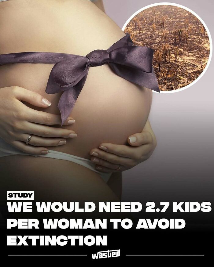 Pregnant woman with ribbon on belly highlighting fun facts about population and extinction risks.