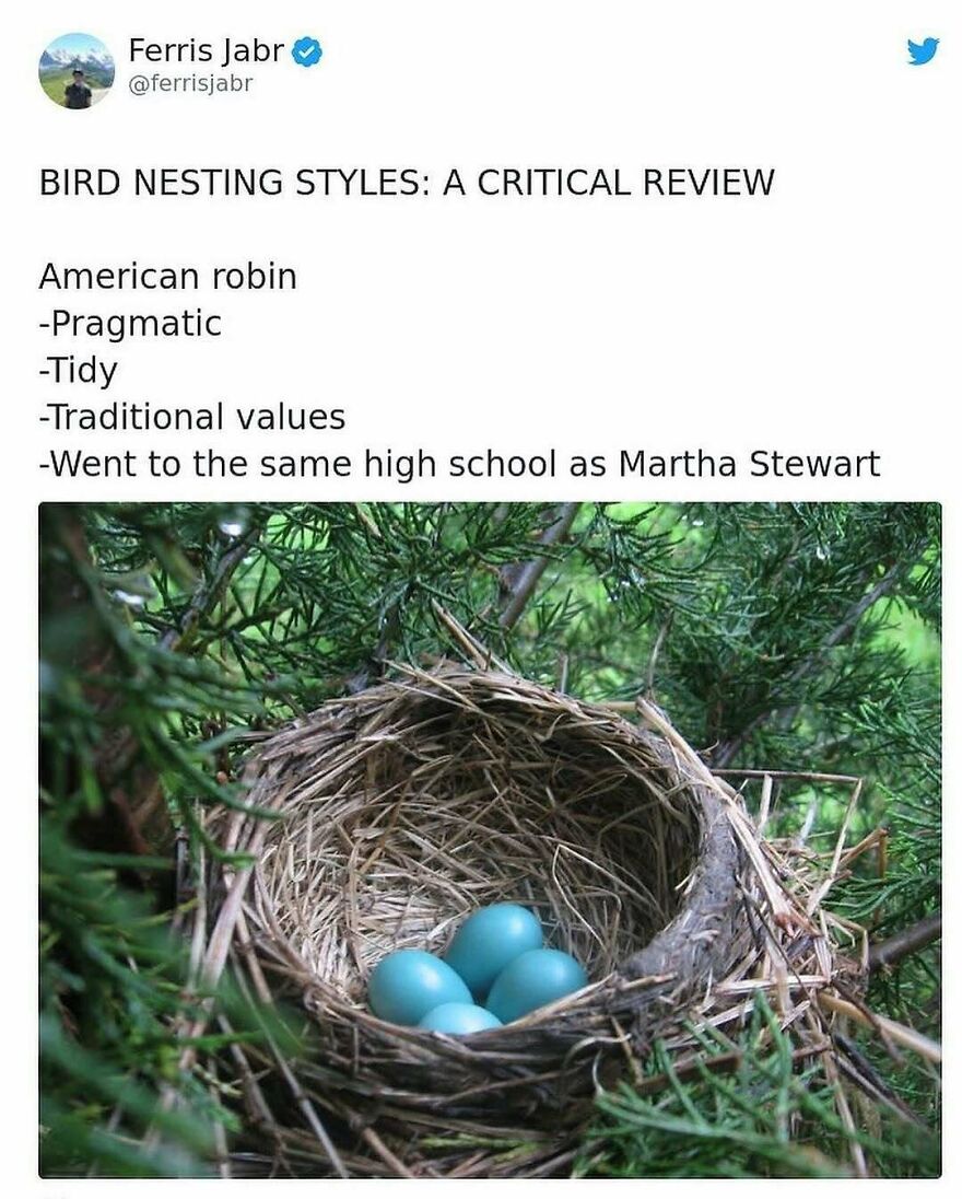 Tweet humorously reviewing bird nesting styles with a photo of an American robin nest and blue eggs, funny animal memes theme.
