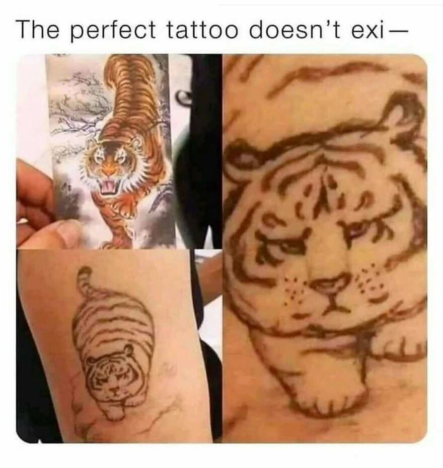 Funny animal meme showing comparison of a realistic tiger tattoo design and a poorly done tiger tattoo on skin.