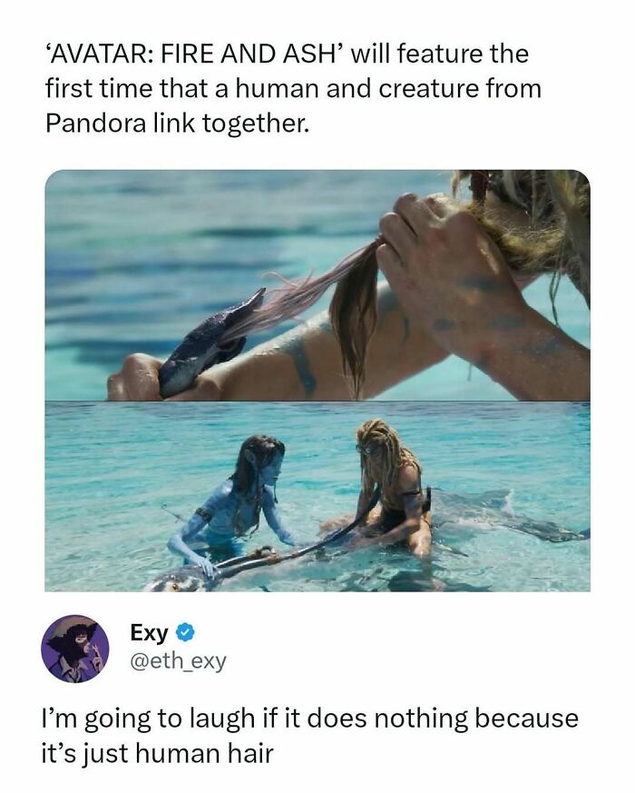 Movie meme showing a humorous post about Avatar Fire and Ash using human hair in a funny movie meme.