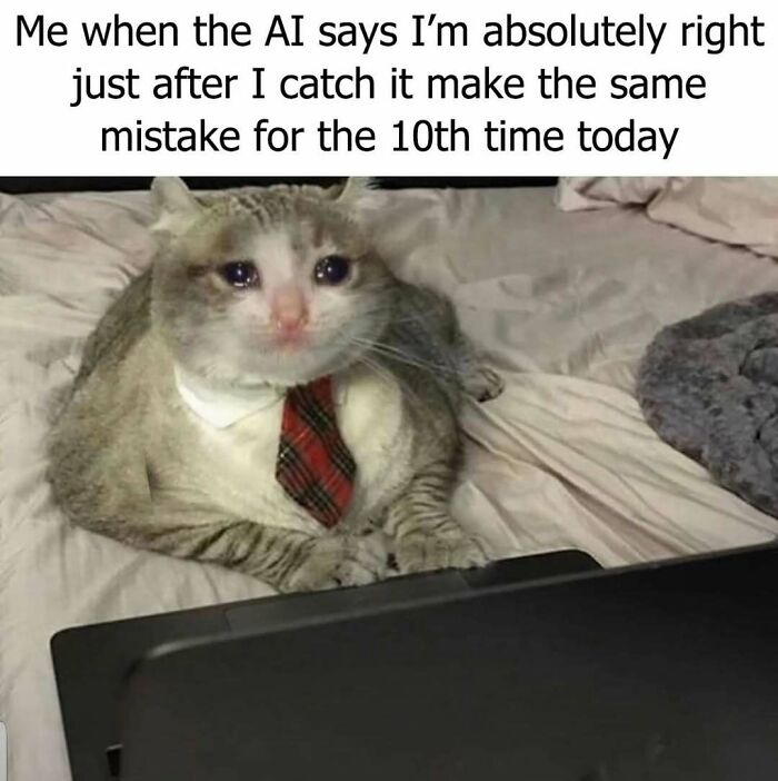 Cat wearing a tie with a sad expression looking at a laptop, illustrating a funny meme from Laughgorithm’s collection.