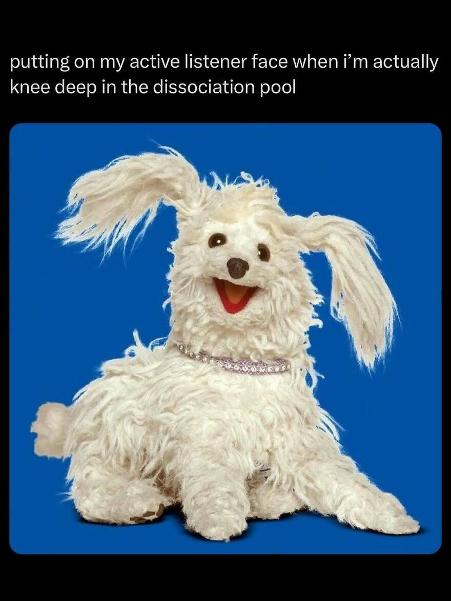 Funny animal meme featuring a fluffy white dog puppet with floppy ears and a cheerful expression on a blue background.