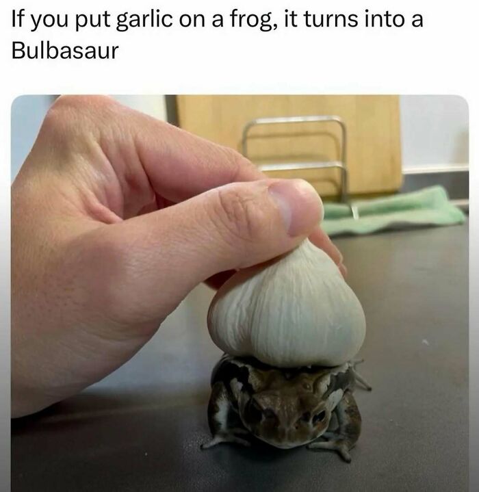 Hand holding garlic over a frog meme illustrating Laughgorithm humor with perfect funny meme content for a laugh today.