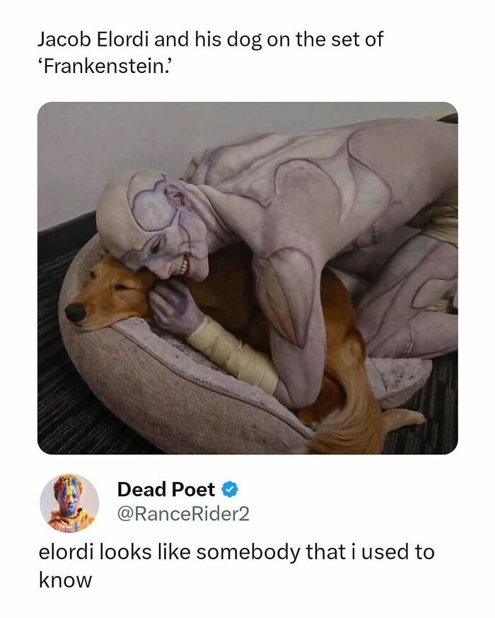 Actor Jacob Elordi in Frankenstein makeup hugging a dog on set, part of funny and interesting movie memes collection.