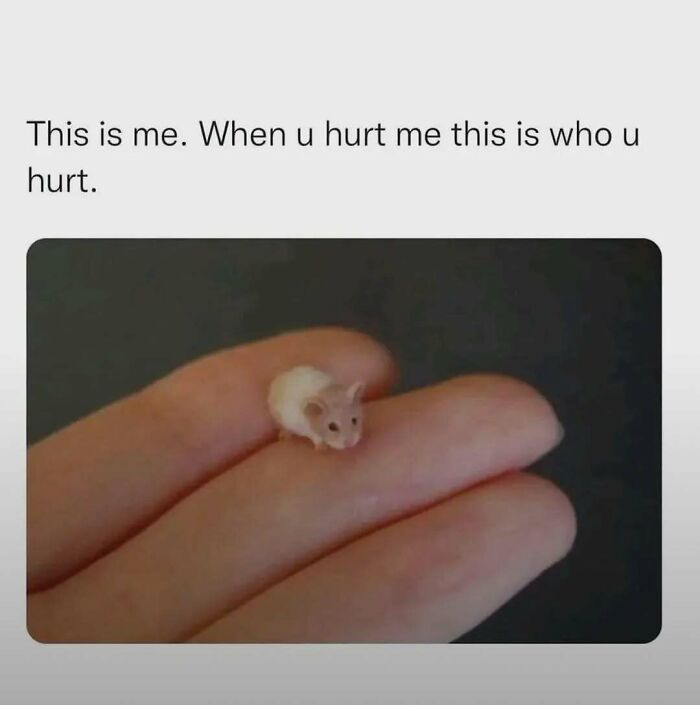 Tiny white mouse resting on a finger with text expressing feelings of hurt, featured in laughgorithm memes for laughs.