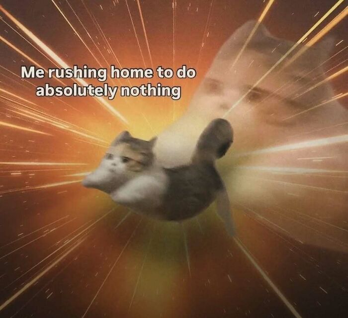 Funny meme of a cat rushing home with motion blur, perfect for laughgorithm meme collections online.