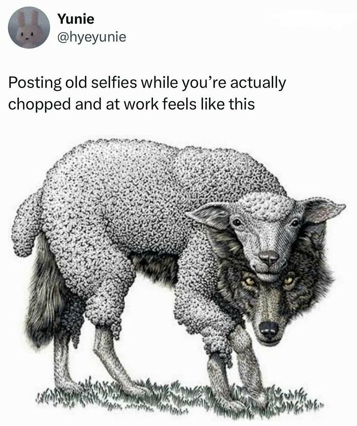 Illustration of a wolf disguised in a sheep's wool, representing entertaining posts and memes to fight boredom and sadness.