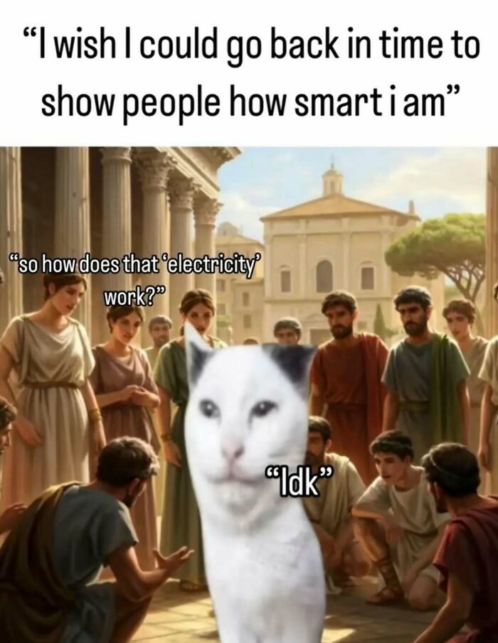 A funny meme with a cat and ancient people discussing electricity, entertaining posts and memes to fight boredom.