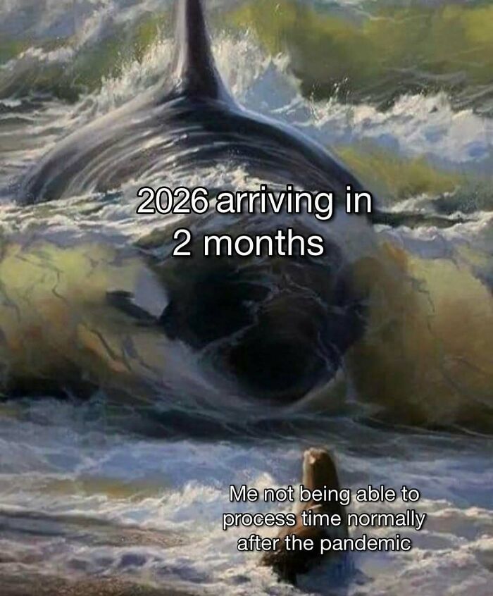 Large whale approaching a person on the shore, humorous meme illustration from entertaining posts and memes to fight boredom.