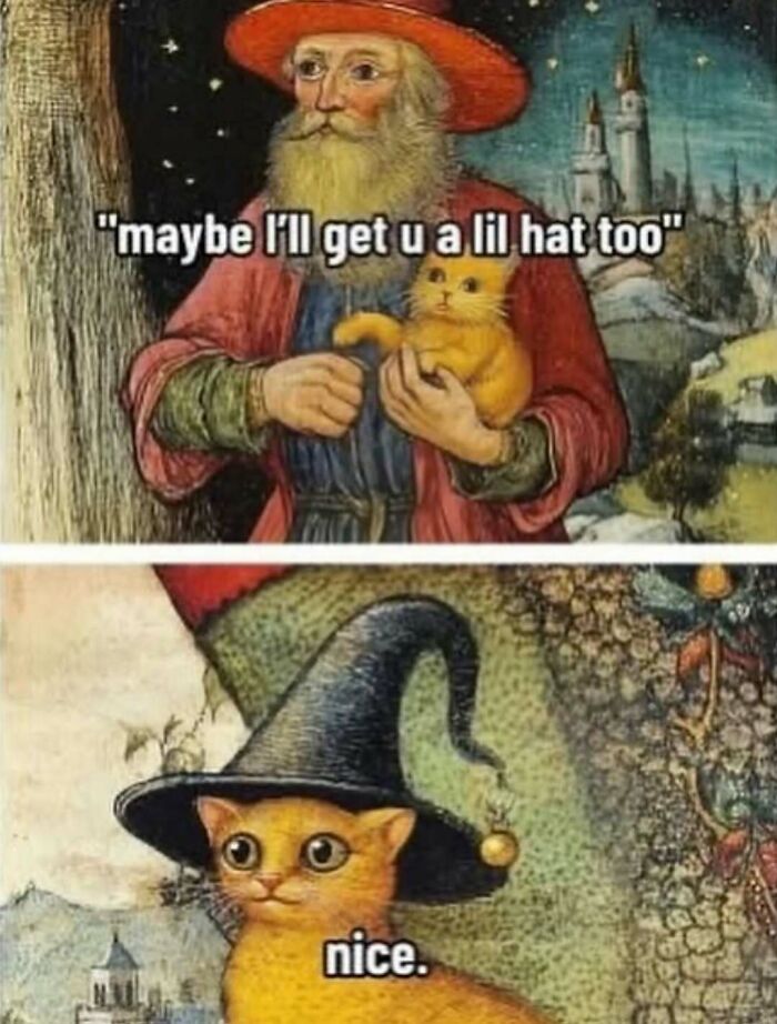 Medieval-themed meme with a man offering a cat a small hat, showcasing entertaining posts to fight boredom and sadness.