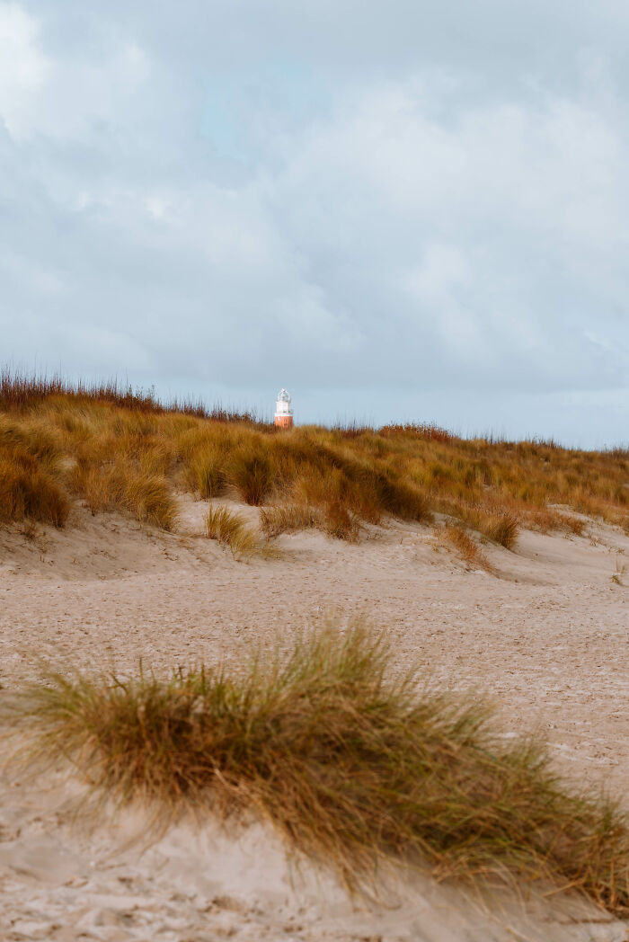 Texel, Netherlands - Where Amsterdam Escapes (And Doesn't Tell You)