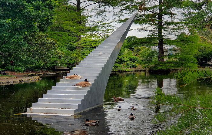 Modern outdoor sculpture resembling a stairway extending over a pond with ducks and geese resting nearby.
