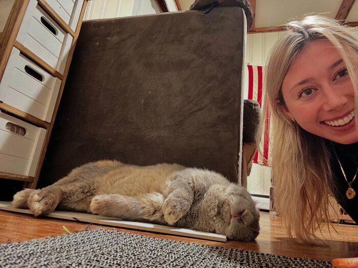 Smiling woman lying on floor next to a relaxed rabbit, showing Hoppy Gilmore&rsquo;s affectionate, dog-like companion side.