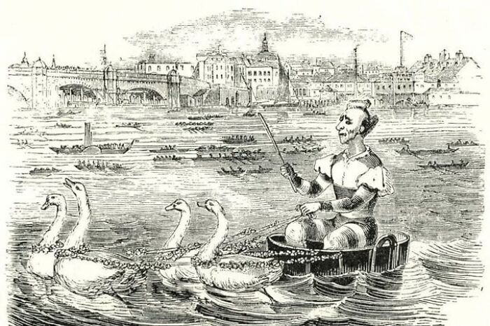 Vintage sketch of a man in a tub boat pulled by swans on a river, illustrating comically absurd facts concept.