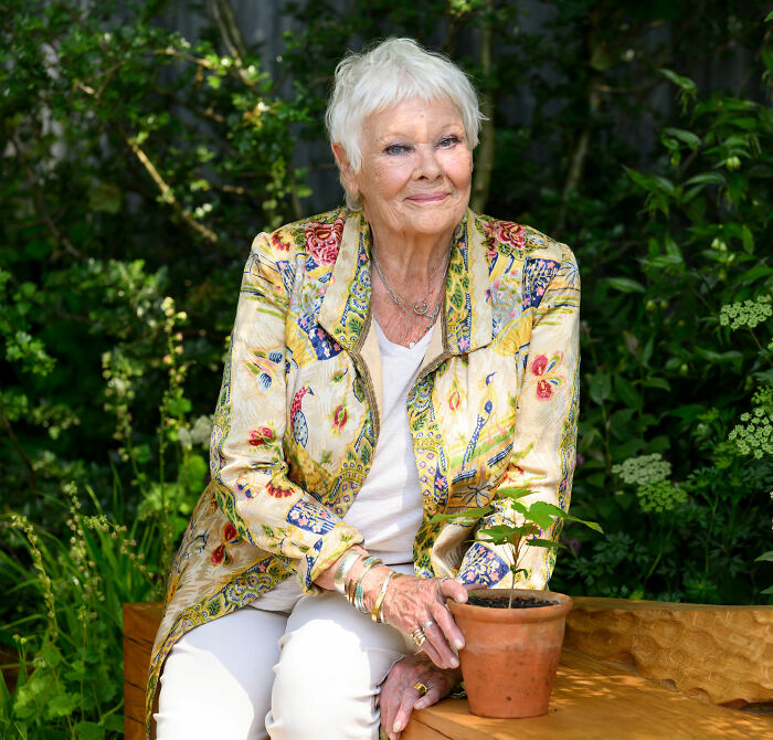Dame Judi Dench sitting outdoors in a floral jacket, holding a potted plant, reflecting on her health confession.