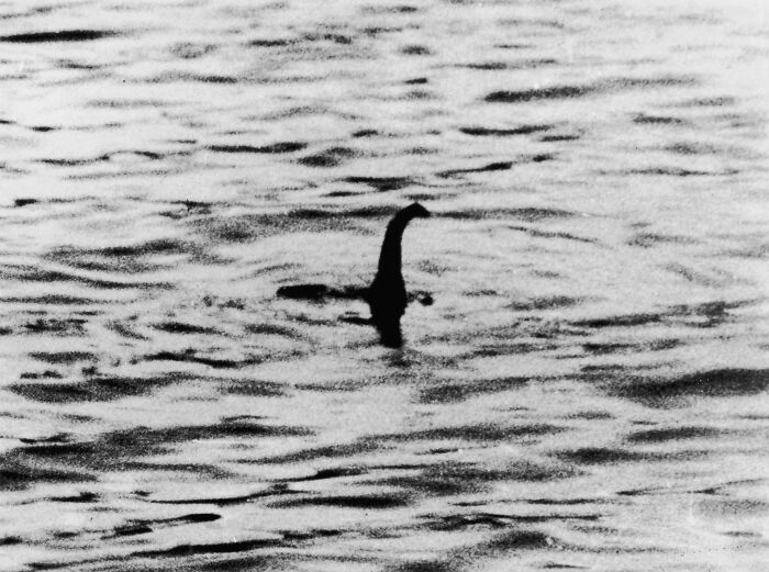 Black and white image of a mysterious sea creature silhouette in the ocean, depicting weird and suspicious ocean phenomena.