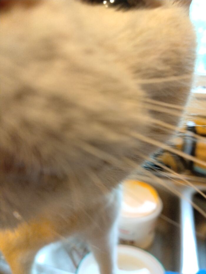 Baby Girl Up Close And In Your Personal Space!