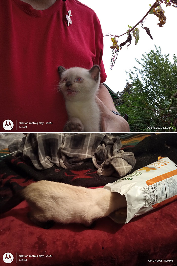 Little Willy One Month Old And Three Months Old