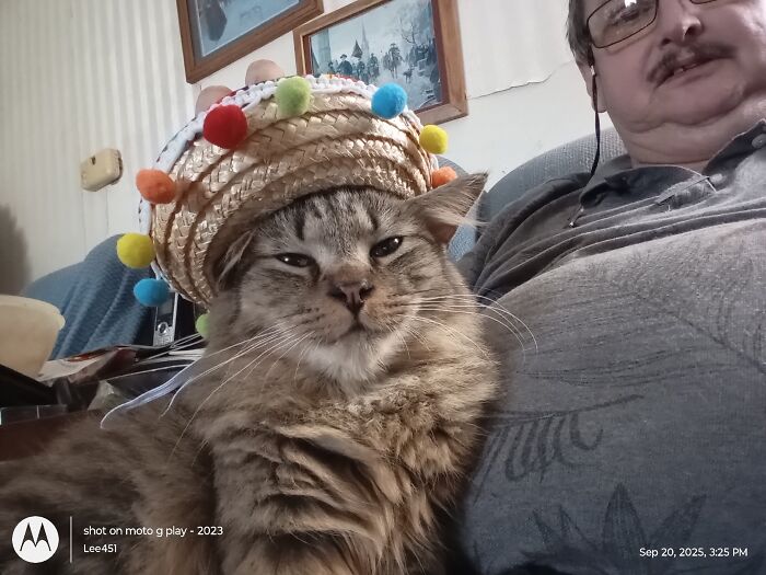 Mopsey In Her Halloween Hat
