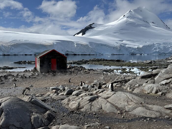 Penguins around a small red cabin on rocky shore with stunning scale and beauty of Antarctica’s icy landscape. Penguins around a small red cabin on rocky shore with stunning scale and beauty of Antarctica’s icy landscape.