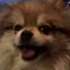 danieldickson avatar