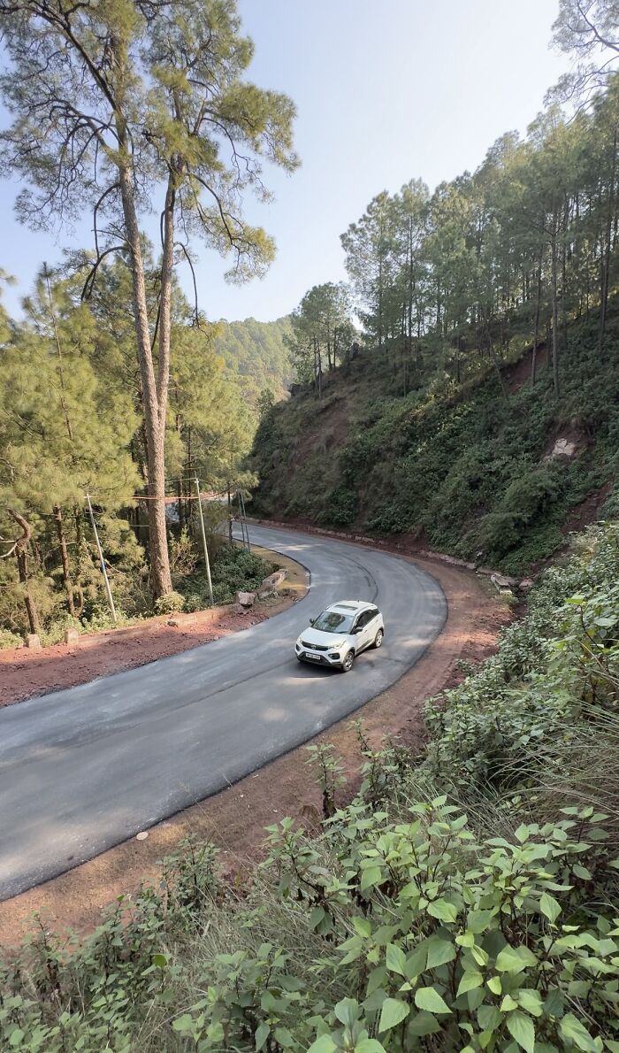 My 4-Night Kasauli Escape: A Personal Travelogue With Two Very Different Stays