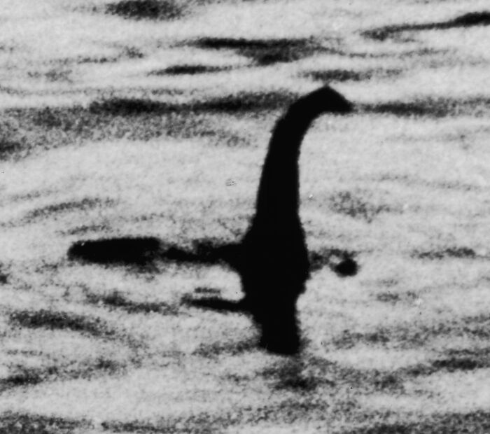 Black and white silhouette of a mysterious creature in water, linked to heavy confessions people refused to take to their graves