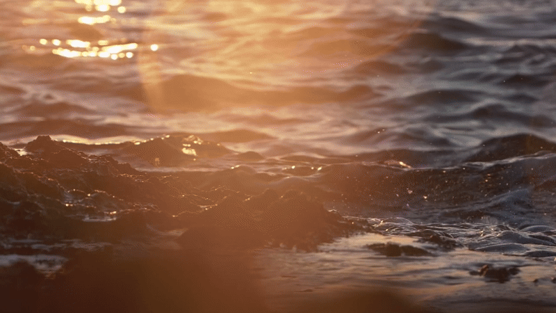 Magic Waters: How I Reimagined Tarot For The Modern People