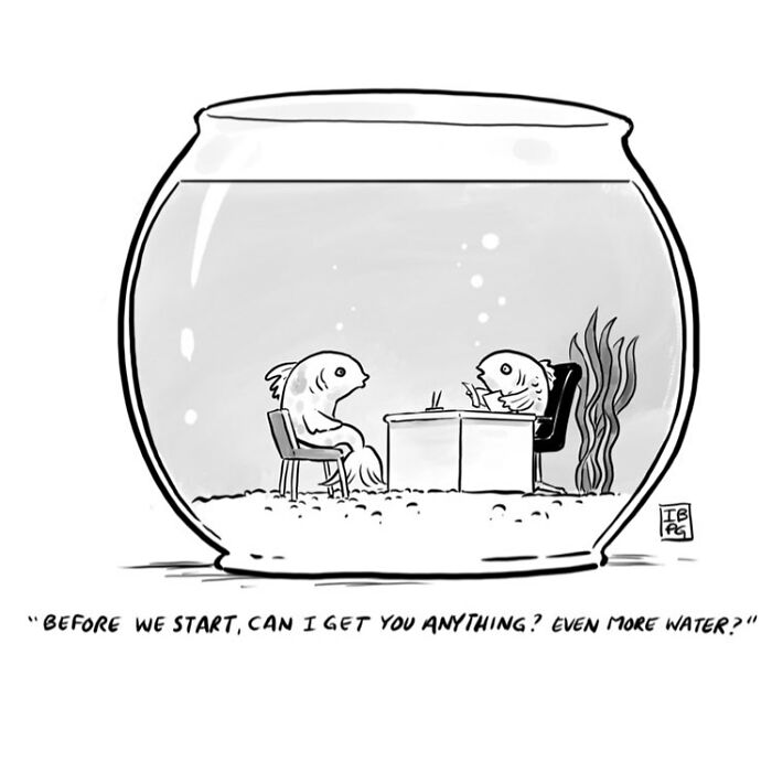 One-panel cartoon of two fish in a bowl having a conversation, showcasing witty humor from a funnier angle.
