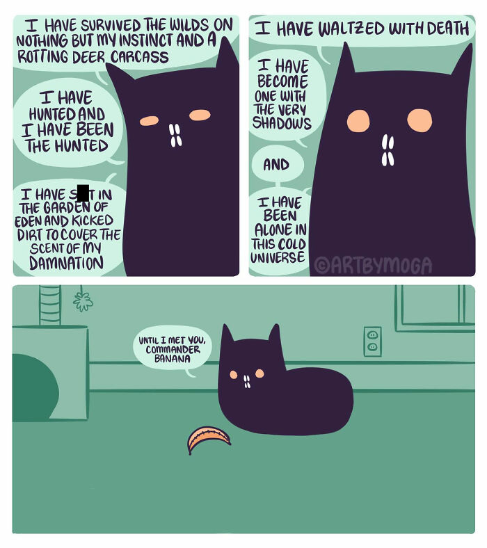 Black cat comic expressing survival and loneliness, highlighting pets, relationships, and everyday chaos in humorous style.