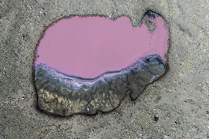 Aerial view of an award-winning nature photo showing a pink and gray salt lake surrounded by textured earth.