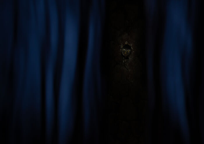 Owl peeking through a dark tree trunk in a low light nature photo showcasing magical wildlife.