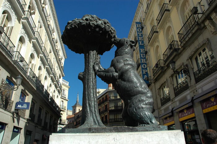 Bronze sculpture of a bear reaching up to a tree in an urban setting, a popular spectacular sculpture worldwide.
