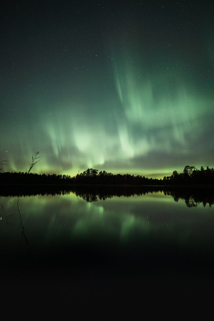 Northern lights display above a forest and lake, reflecting the green aurora colors in the water during night.
