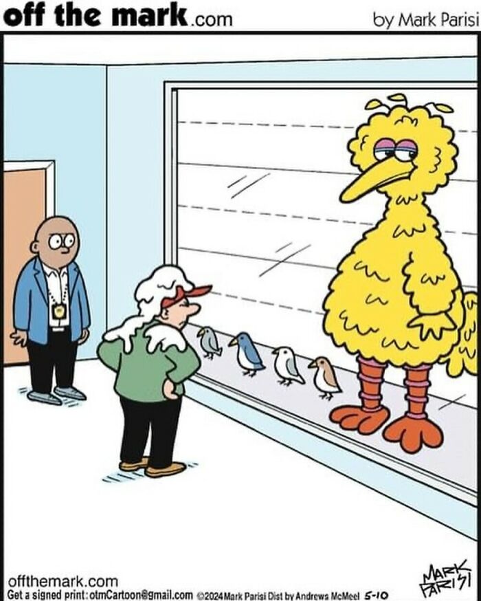 One-panel comic by Mark Parisi showing detectives inspecting a lineup including Big Bird and smaller birds.