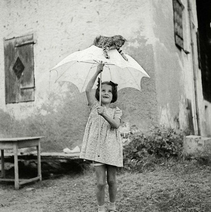 Young girl holding umbrella with cat perched on top, capturing purr-fect shots of cats stealing the show outdoors.