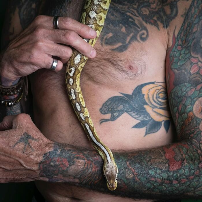 Man with colorful tattoos holding a yellow patterned snake, showing the shockingly alike connection between pets and their humans.