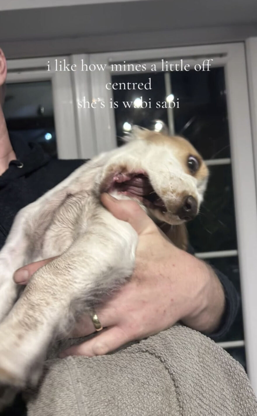 Person holding a dog with a crooked smile, showcasing perfect imperfections in this wholesome trend.