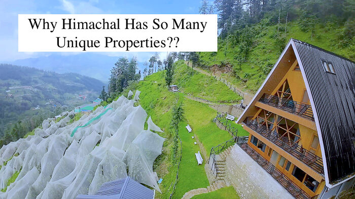 My 4-Night Kasauli Escape: A Personal Travelogue With Two Very Different Stays