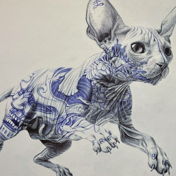Sphinx cat artwork with creepy and gorgeous nightmare-inspired tattoo designs in blue and black ink.