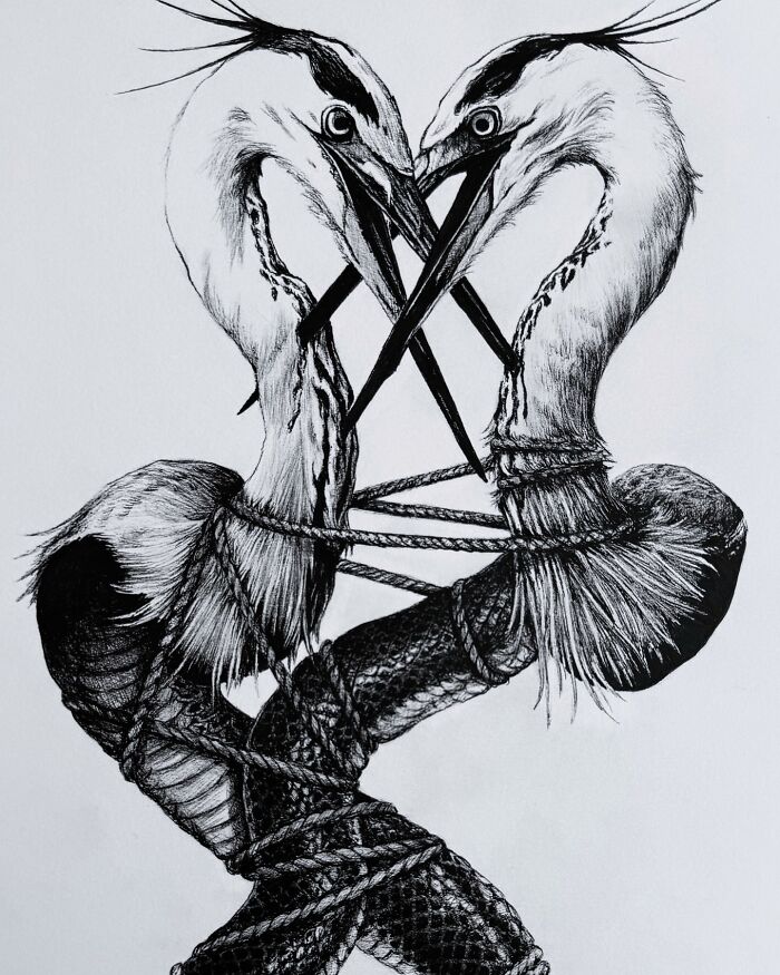 Black and white creepy art featuring two intertwined birds with elongated necks and sharp beaks tied with rope in a nightmare style.