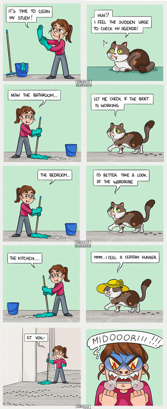 Comic strips by artist showing relatable and funny everyday situations with cleaning and a mischievous cat.