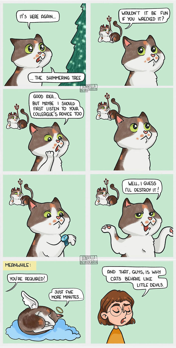 Funny relatable comics featuring a cat and devil cat showing the funny side of everyday situations with humor and charm.