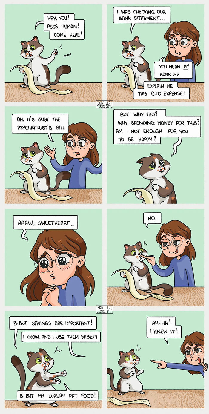 Relatable comic showing funny everyday situations with a cat and its owner discussing expenses and pet food.