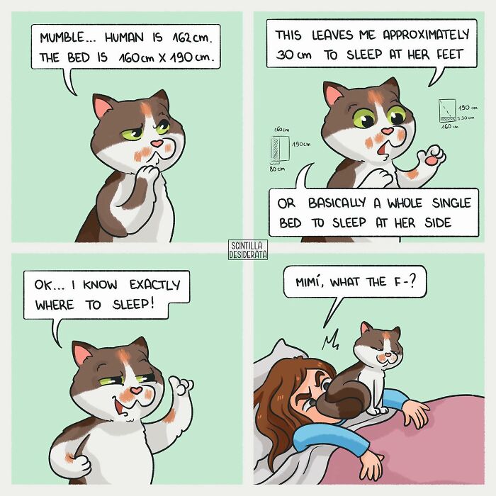 Relatable comic of a cat calculating sleeping space on a bed, showing the funny side of everyday situations.