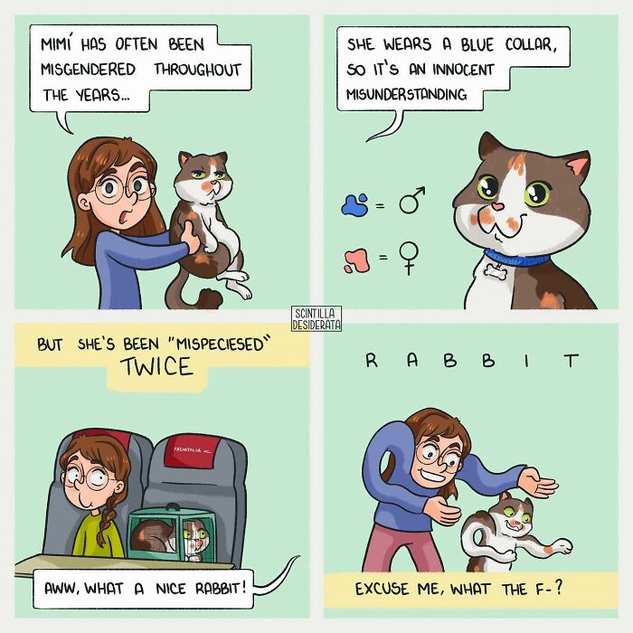 Comic artist illustrates relatable everyday situations humorously with a cat often mistaken for different animals.