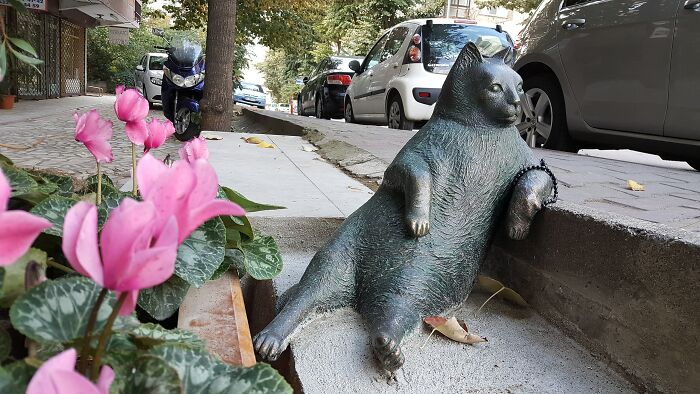 Bronze cat sculpture reclining on a sidewalk curb among pink flowers, part of spectacular sculptures for travel bucket list.