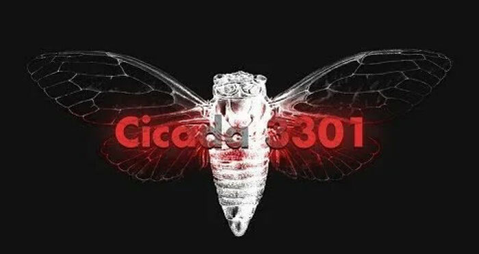 Cicada 3301 cryptic symbol with dark wings on black background representing mysterious internet rabbit holes.