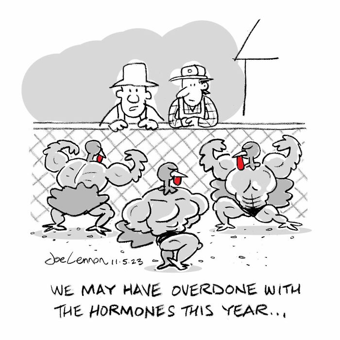Absurdly funny single-panel cartoon showing muscular turkeys posing behind a fence with two farmers watching in disbelief.
